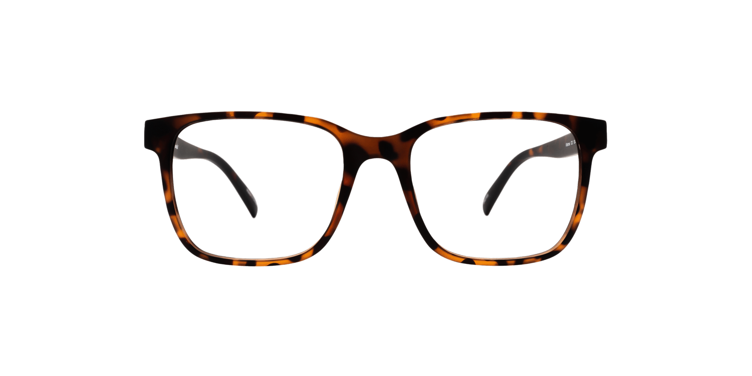 Get Flat 50% OFF on Albatross Glasses